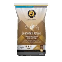 n890_economix_active_clean_31098eac-6201-477b-93a0-a158009aa8b8_540x_1303038268
