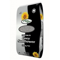 grey_sunflower