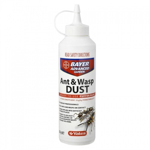 ant__wasp_dust